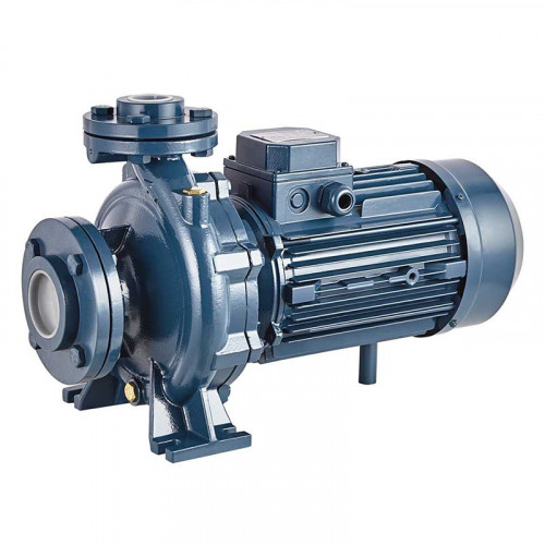 Насосный агрегат моноблочный фланц (N)евый PURITY PSTC 32-250/55 (N)